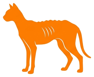 Silueta de gato delgado