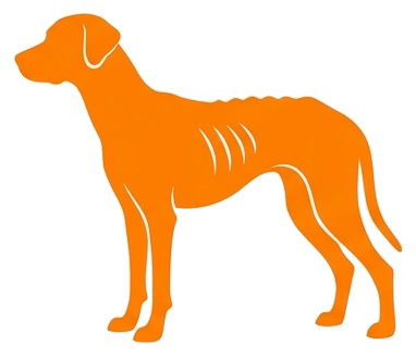 Silueta de perro delgado